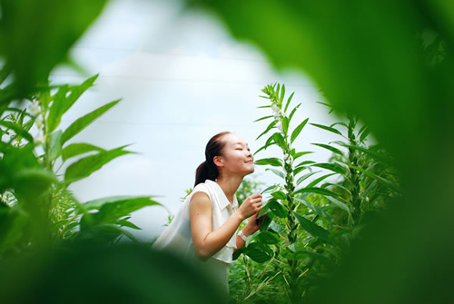 �����Ž��أ�֥�鿪���ڽڸ�