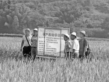 �����������߲����������絾��Ʒ�ַ���