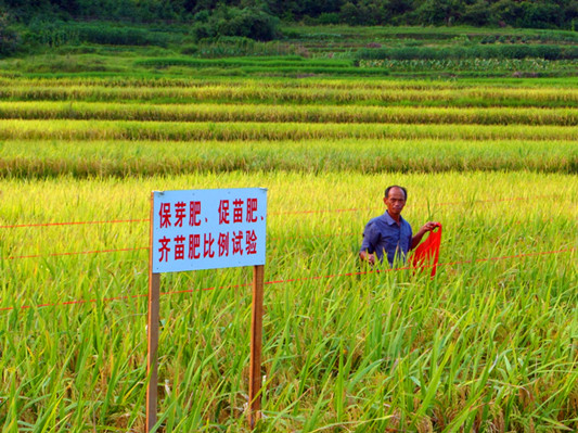 �������������¼��������������������