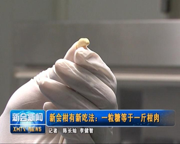 �㶫�»�����³Է���һ���ǵ���һ�����