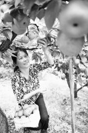 ����������������������