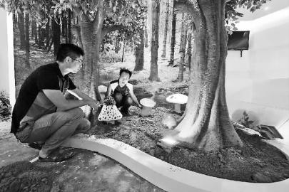 ������Ϫ��չʾʳ�þ��Ƽ��Ļ�