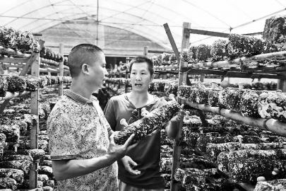 ������Ϫ����ˮ�����㹽��������