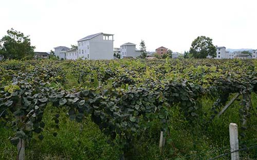 ����������⨺��ҹҹ�����ɽ