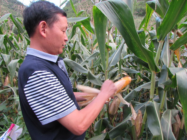 �����������ض������ؼ����׸߲�����ʾ��Ƭͨ���ؼ�����