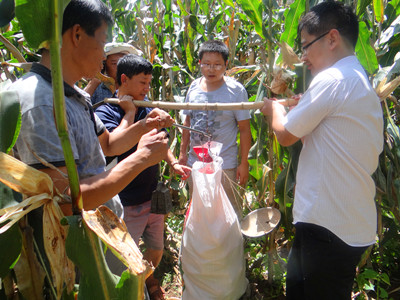 ����������2014�����׸߲�����ʾ����Ŀͨ���ݼ�����