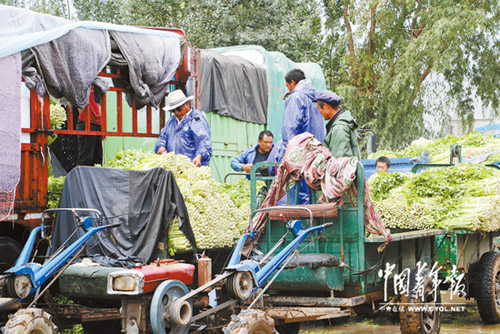 ���������۲˴���������