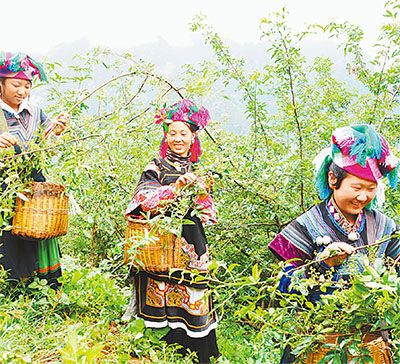 �Ĵ������أ���Ķ����������