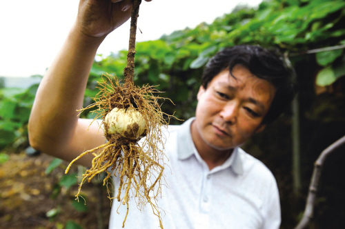 �㽭������ʳ�ðٺ����Գɹ� ������ģ��ֲ