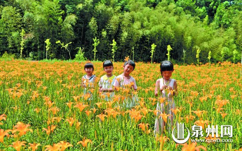 �����»��أ�СС�ƻ����ֳ����ҵ