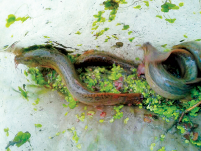 �㽭������Ϫ����̨��������óɹ�