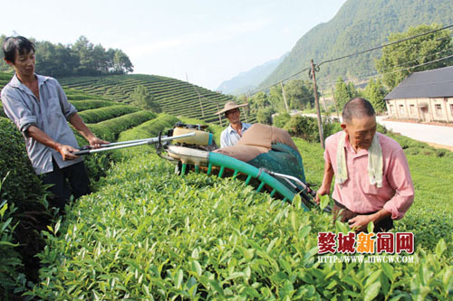 �㽭�����ĳ������ֵ����Ʈ��ʱ