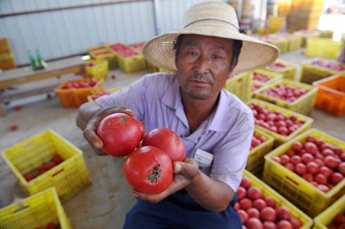 ��������������������۵� ���ֵ�����������