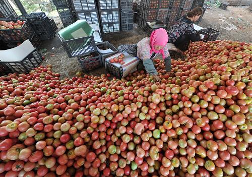 8��18�գ�����������������չ��̷����²�ժ������������װ��׼�����ˡ�������������۸�������д���½���