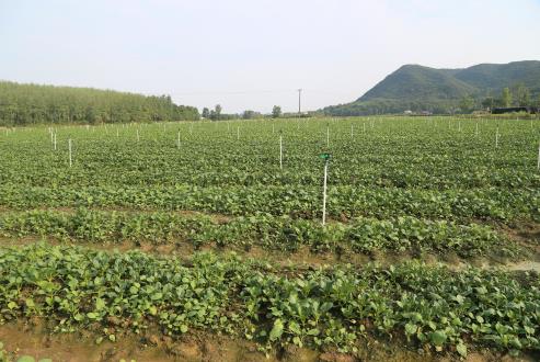 �ɾӹ����߲˻���һ��