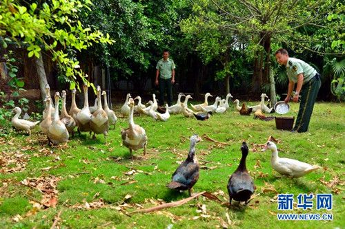 �������Ǳ߷��ɳ�����̬������ֳ԰ϲ�񡰷��ա�