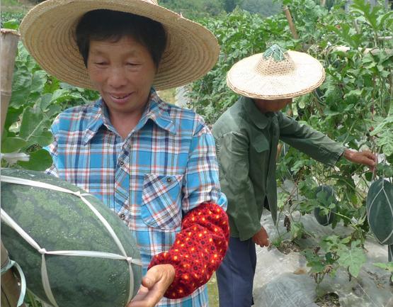 ���������������������ũ����