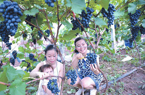 �Ĵ��ϳ����ɽ�����꽭�ϵġ�����ɽ��