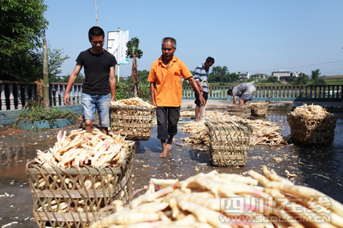 �Ĵ���������̶���������ջ�æ ��ֵ����4��Ԫ