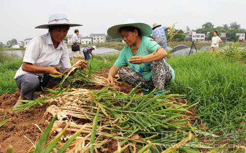 �Ĵ���������̶���������ջ�æ ��ֵ����4��Ԫ