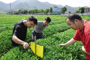 �㽭���˿�������ɫ��ɱ�������ɫ��԰