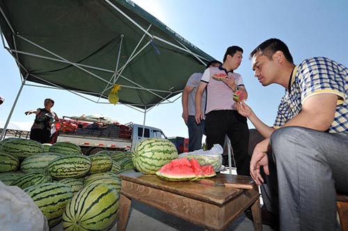 ���ģ���ɰ�Ͻ������۸߷�