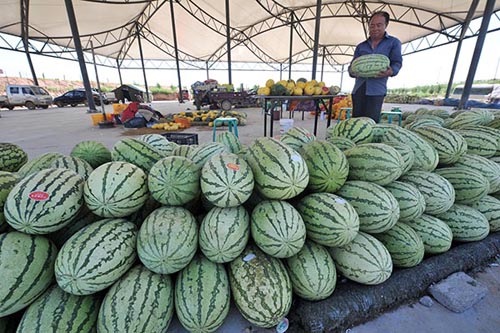 8��19�գ��ھ��ظ��ٹ�·���Ķι�Ȫ�·������Ĺϵ��ڣ���ũ��������ɰ�ϡ�