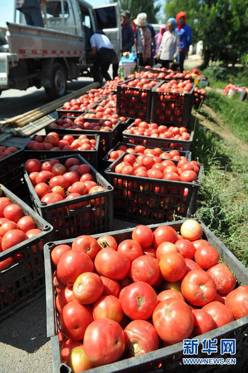 ����������������ϱ�ȫ���ũ�ڵȴ�����ǰ���չ���������8��18���㣩��