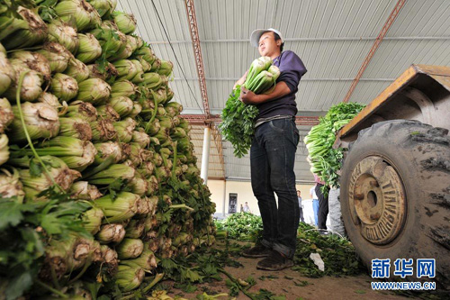 ���Ĺ�ԭ��ԭ����������Ҧĥ���߲��չ��㣬��������������۴ӳ���ж�£�8��20���㣩������������չ���ֻ��0.2Ԫ/�