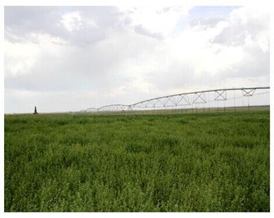 �����γ����в������ҵ����������ƽ�