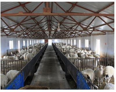 �����γ����в������ҵ����������ƽ�2