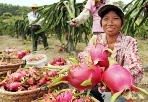 �㽭�����ز����������������