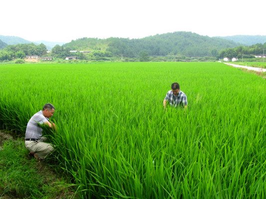 ������������ǿ��ʳ���������溦����