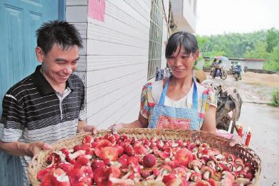 �����������칽����ũ��Ǯ����