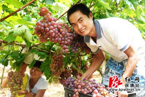 ���ϱ������귵�紴ҵ ��ֲ����ϲ�����