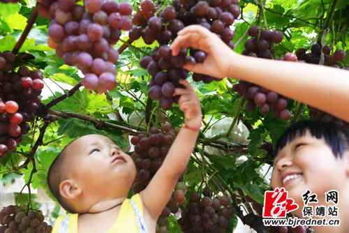 8��22�գ������ظ������ƽ���Ƽ������̬����԰��Ц��ӯӯ��԰����Խ����������ں��ο�һ���ժ������͸�ĺ������