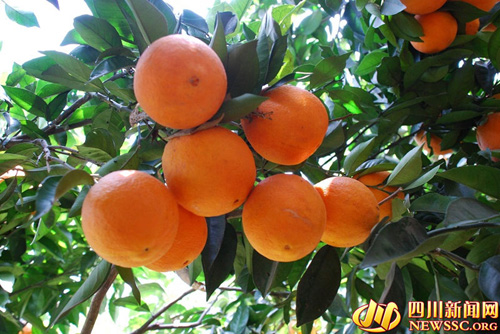 ������Ȼ����������Ʒ��������ص��ײ����