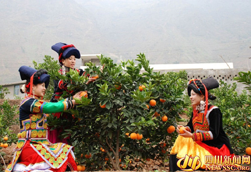 �ͼ�����ϲժ�ײ���ȡ������