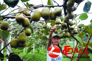 �Ĵ��ϳ���ɽ���ֲ�Ϫ⨺���ȫ��ҹ�