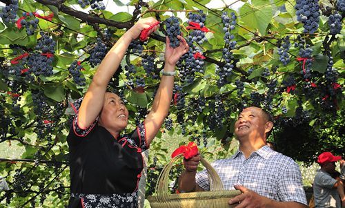 �����з����조�й��Ϸ����ѹ�����ɫ����