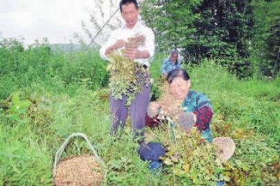 ����̩�������С�ѻ������ˣ�