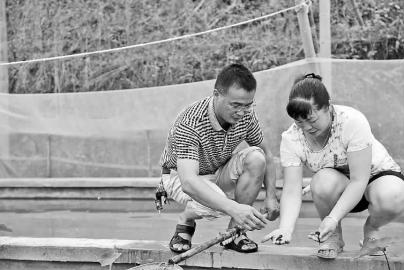 �������֣����ּ�������չ��ɫ����