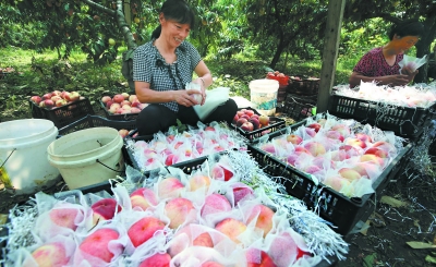 ����ƽ�ȣ�����������