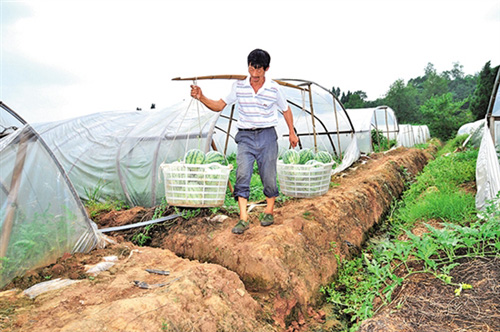 �Ĵ��ڽ���С���� ��ũ��