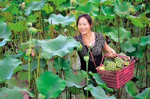 �Ĵ��ڽ�������ţ�Ŵ������ֲ���� ���뷭��