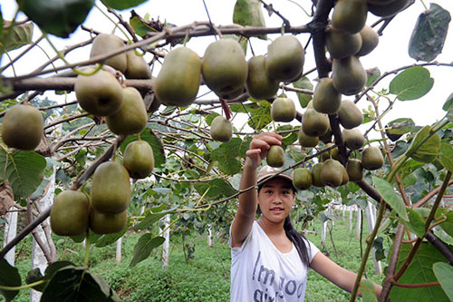 �Ĵ��ϳ�ɹ����ֺ���⨺���