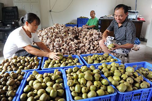 8��24�գ��ϳ��и�ƺ��ʤ����ʤ�ٽ�⨺��һ��ع�����ѡ׼�������Ϻ��ĺ���⨺��ҡ�