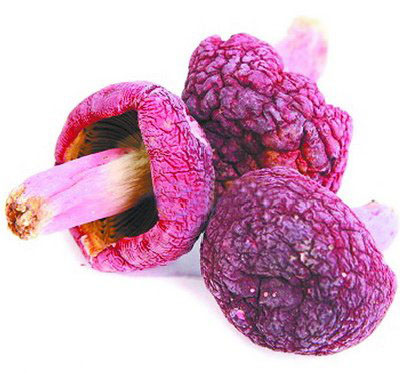 ������Ұ���칽����