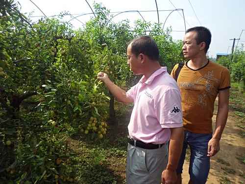 �������������޵�Ĥ���Ƿ�ֹ���濪��Ч������