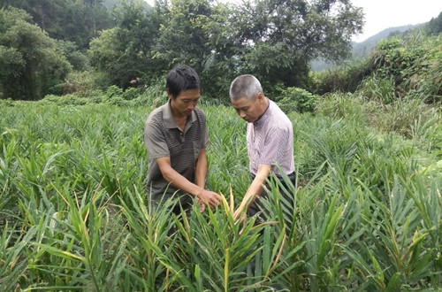 ������Ϫ��פ��Ѳ�� ָ�������������